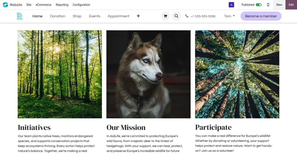 Website builder details