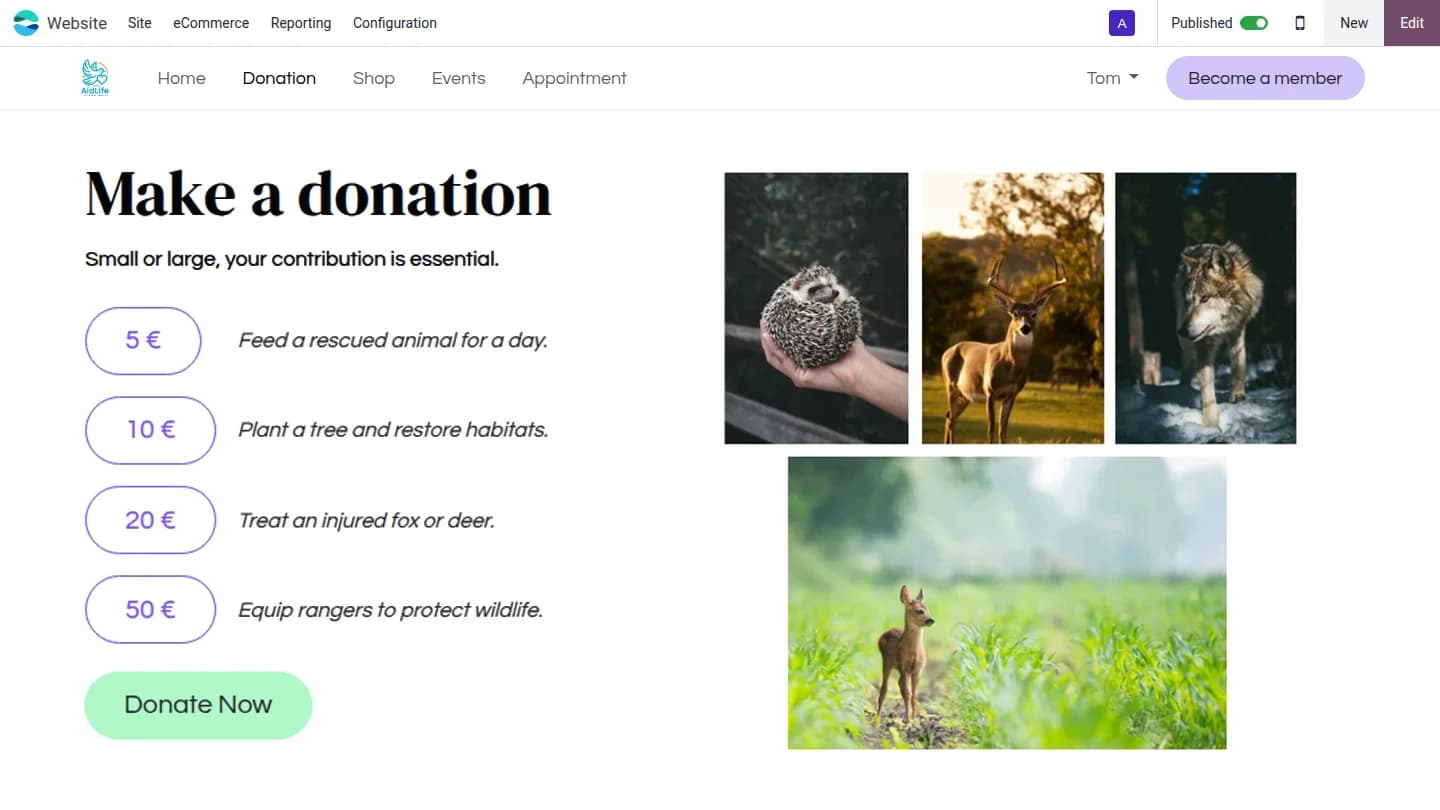 Donation website preview