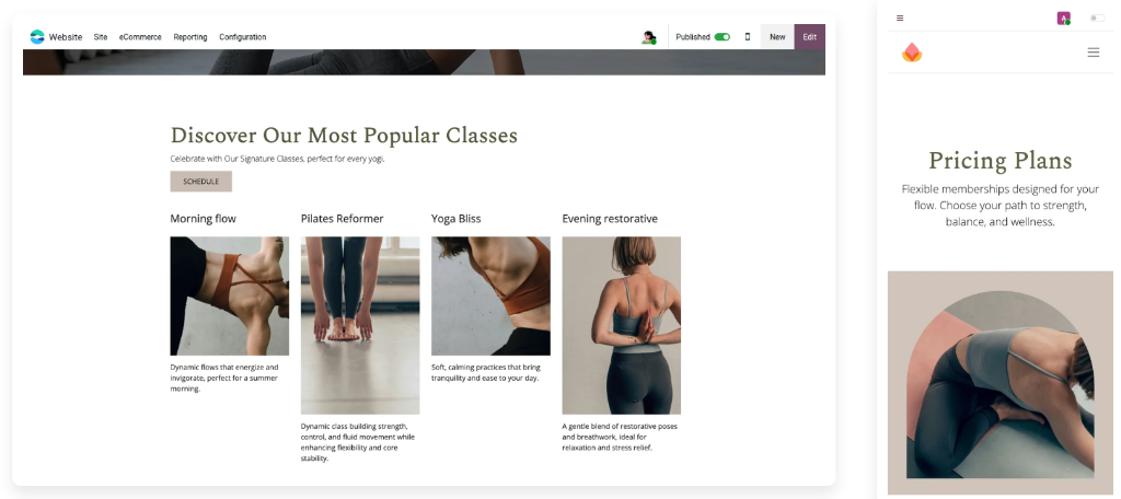Make your classes shine - Yoga & Pilates Studio Website